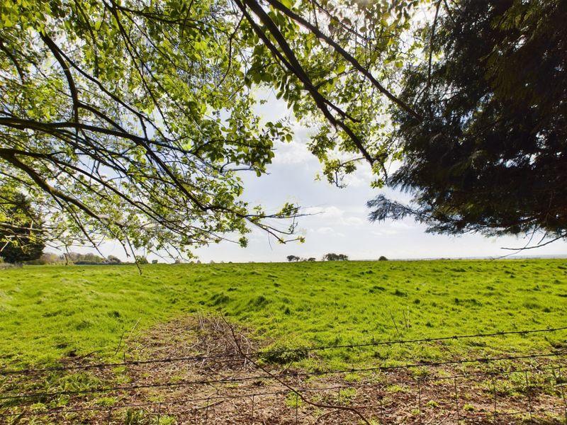 Countryside view