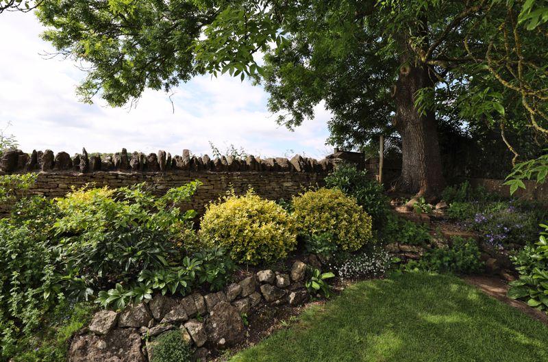 Rear of garden