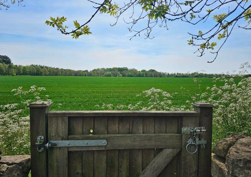 Rear of garden