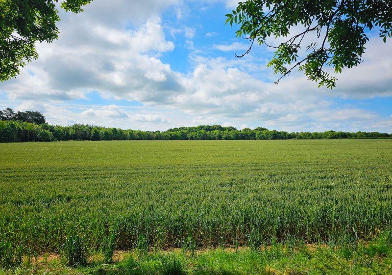 Adjacent field