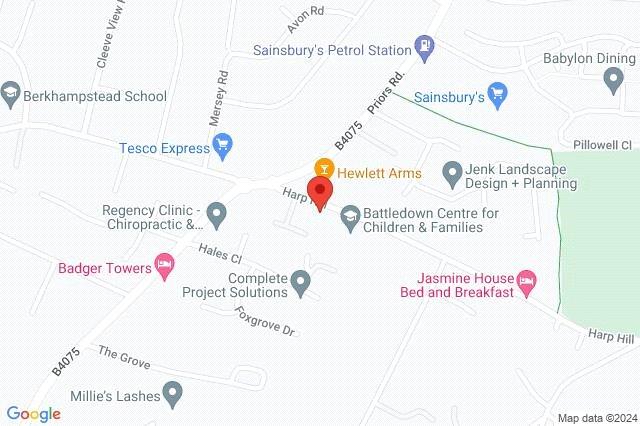 Google Maps Image