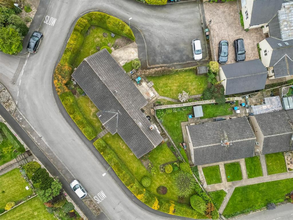 DJI 0384.jpg