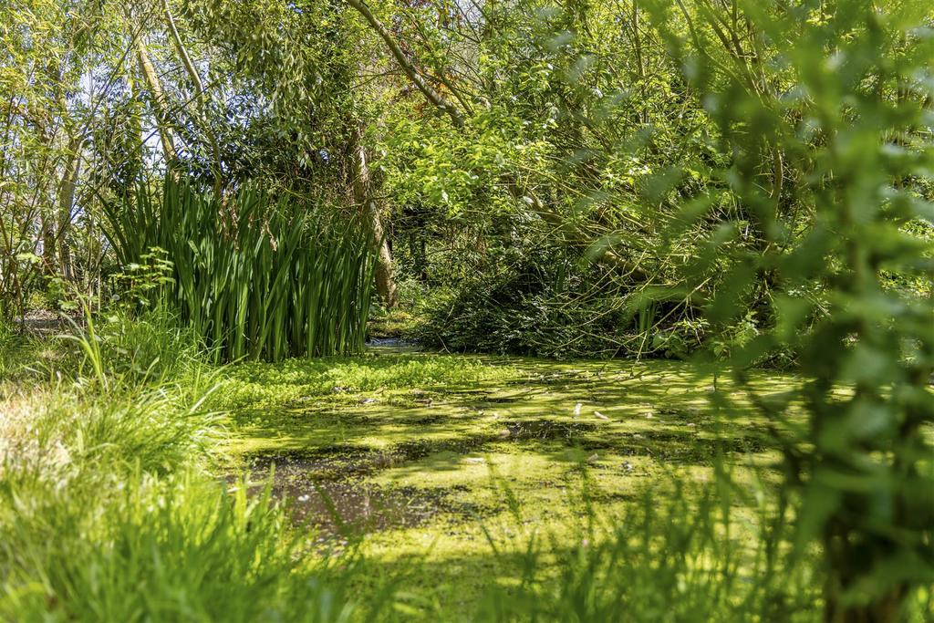 Little Bardfield (Tumby Woodside)-11.jpg