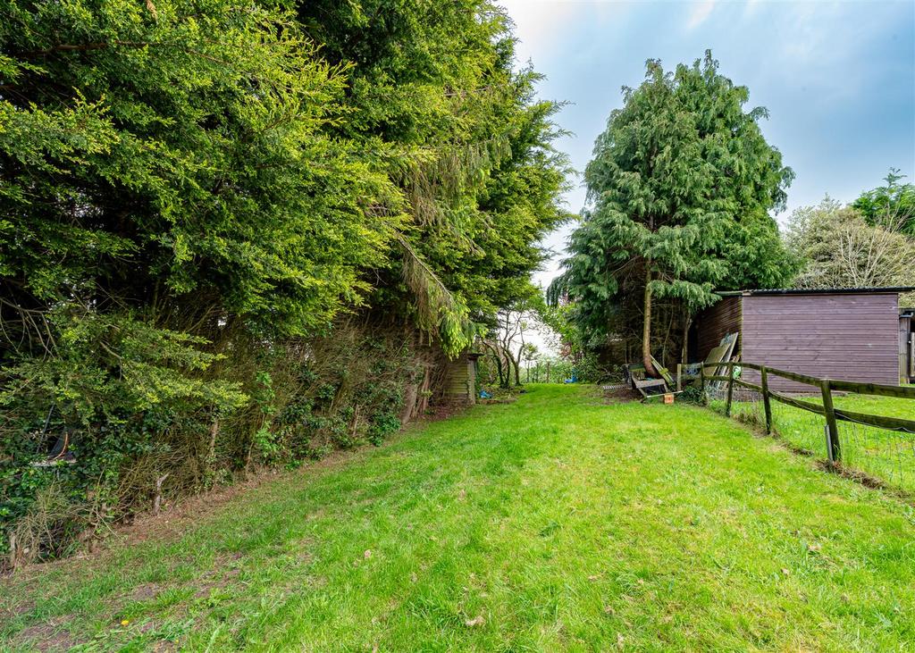 10 The Holloway-garden3.jpg