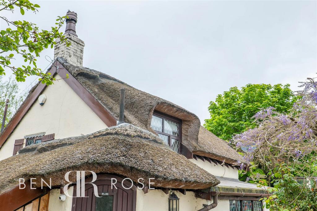 Thatched Roof
