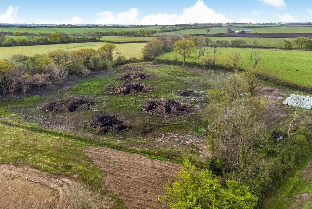 Drone View