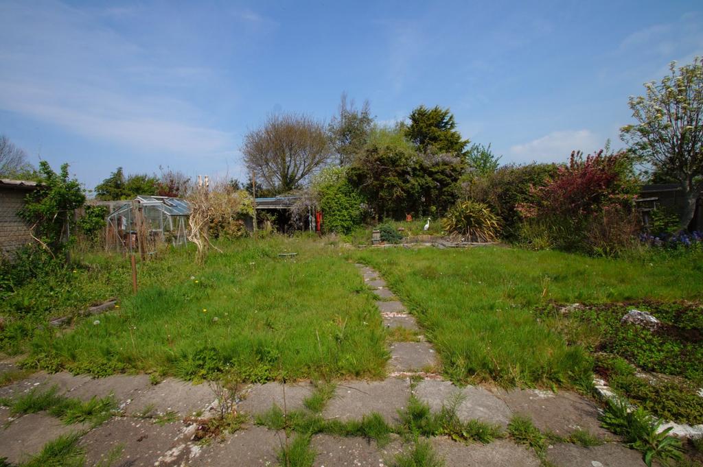Garden (Current)