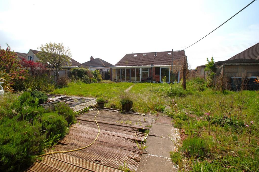 Garden (Current)