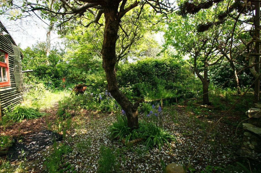 Garden (Current)
