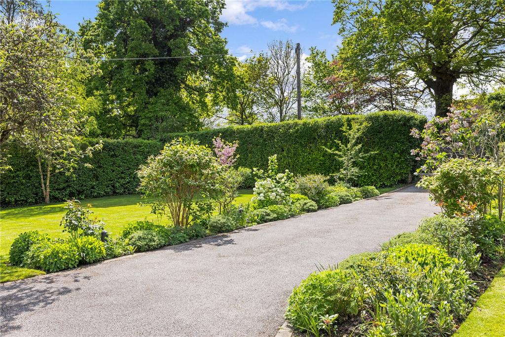 Driveway