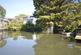 Taggs Island, Hampton TW12 photo 2