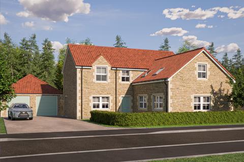 South Meadows, Northumberland NE70