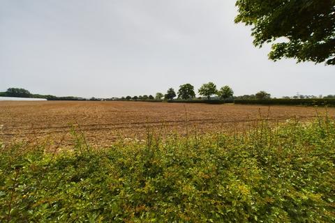 3 bedroom detached bungalow for sale, Tewnals Lane, Elmhurst