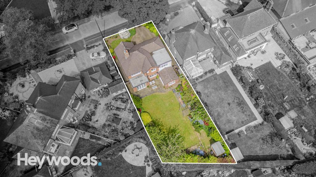 20240509-DJI 0377-Enhanced-SR - Copy
