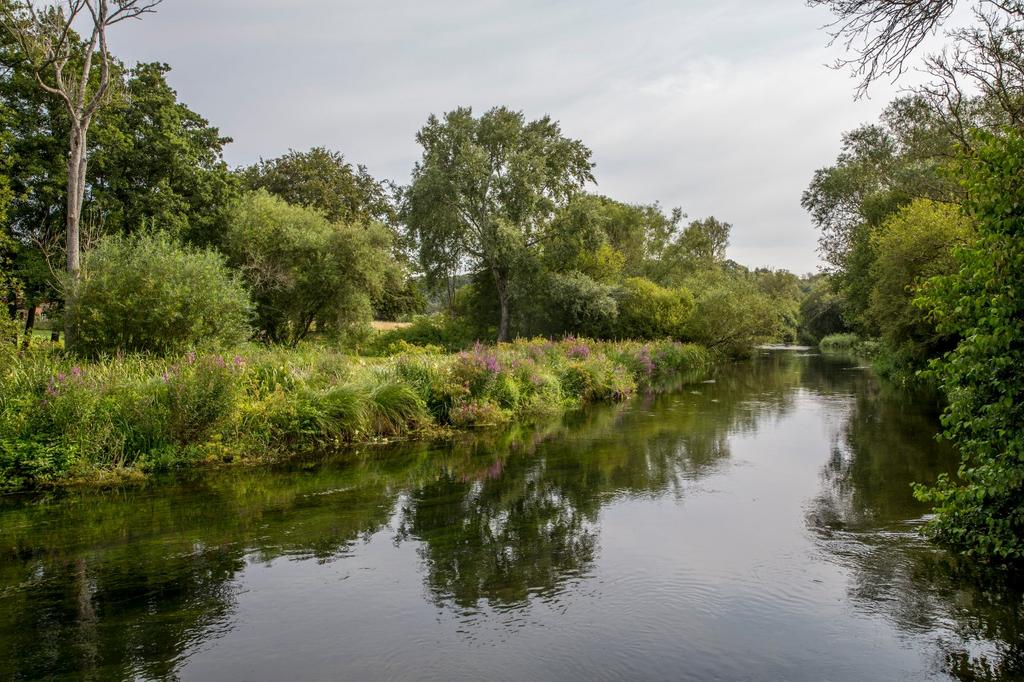 Single Bank Fishing