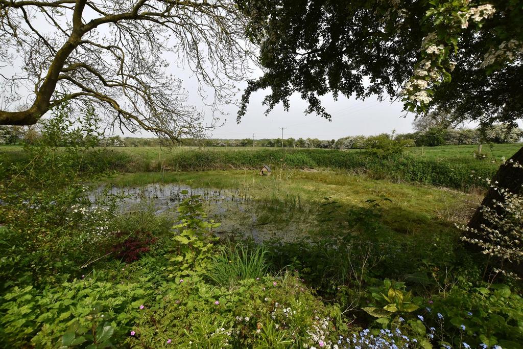 Pond.JPG
