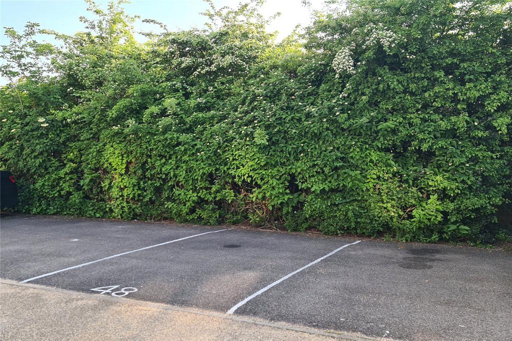 Parking Space