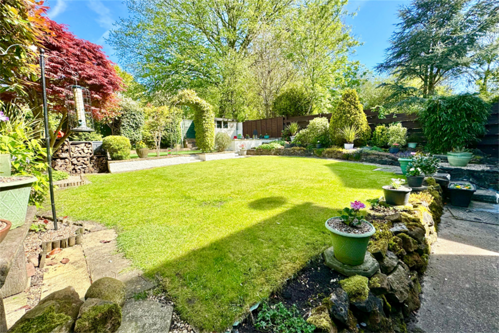 Back Garden