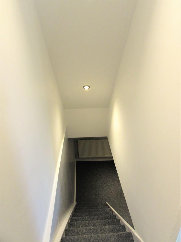 Photograph 7