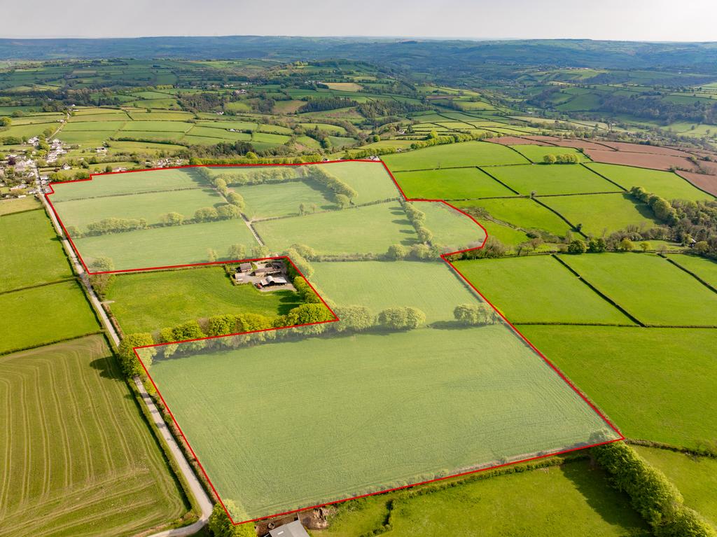 The land