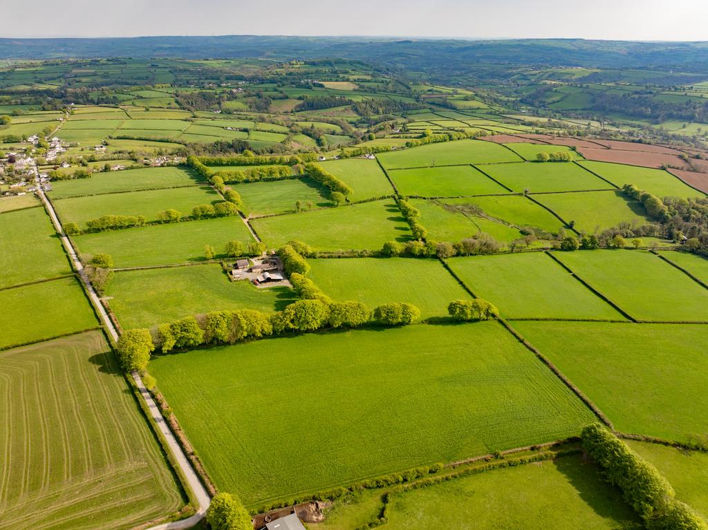 The land