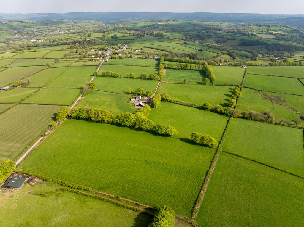 The land