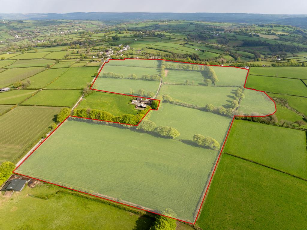 The land