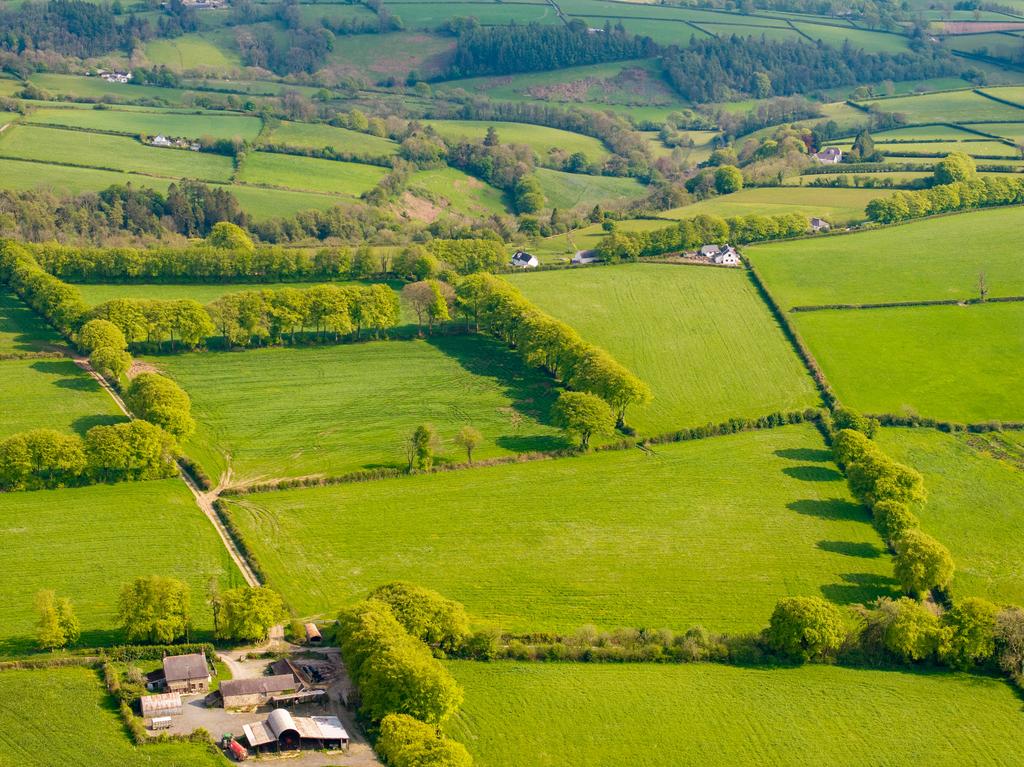 The land