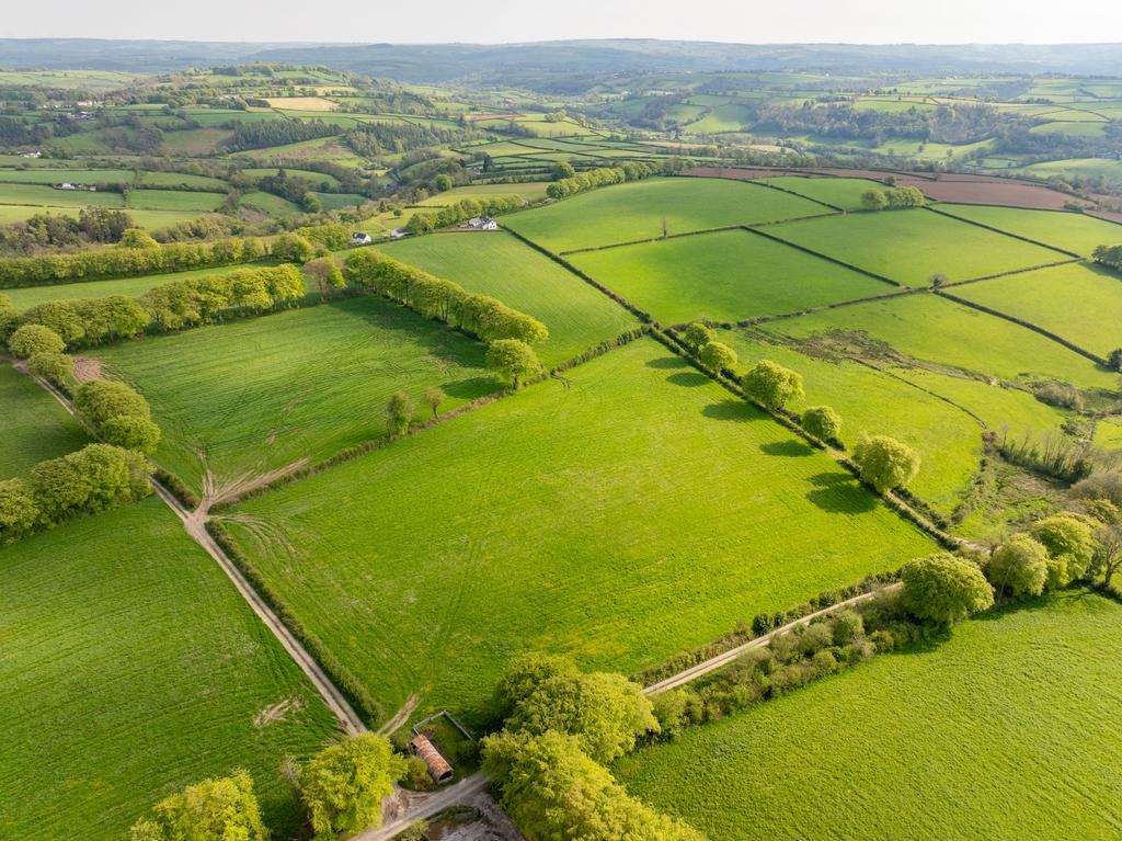 The land