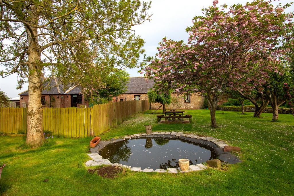 Pond