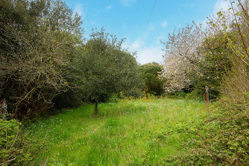 Calais, St Martin's, Guernsey, GY4 3 bed property for sale £595,000