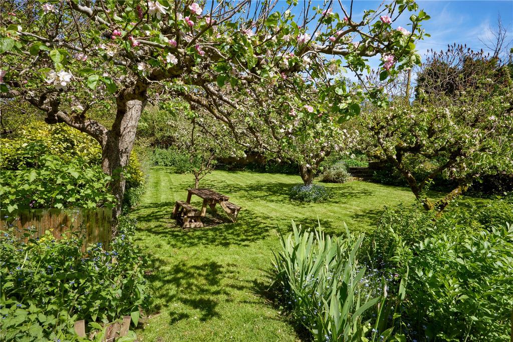 Orchard