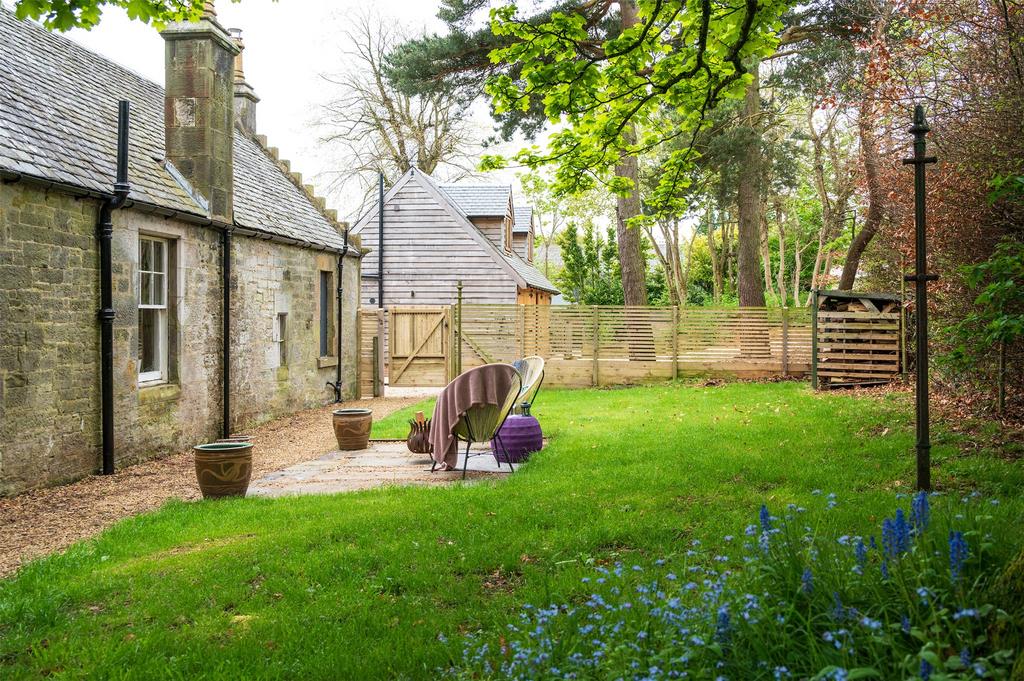 Workshop Garden