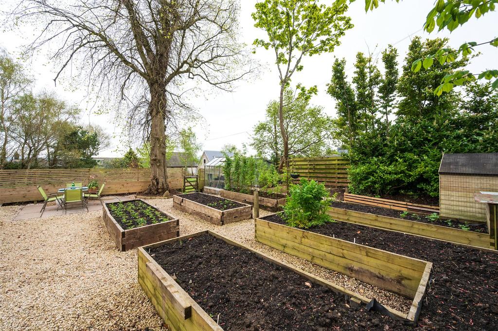 Kitchen Garden