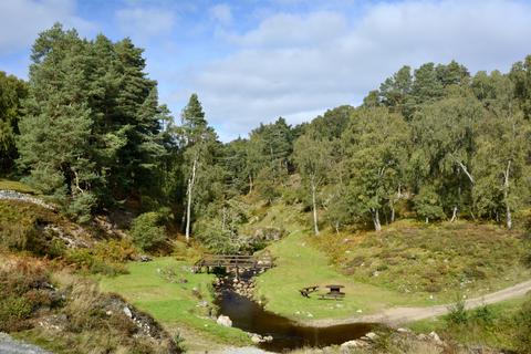 Land for sale, Balavil Estate, Kingussie, Scotland PH21