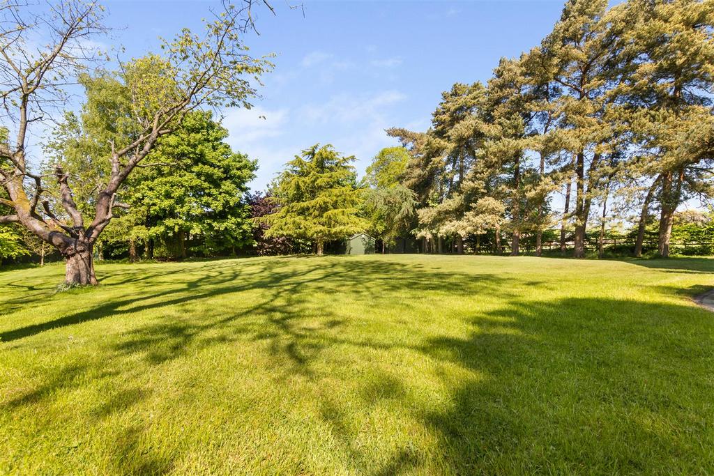 The rear garden