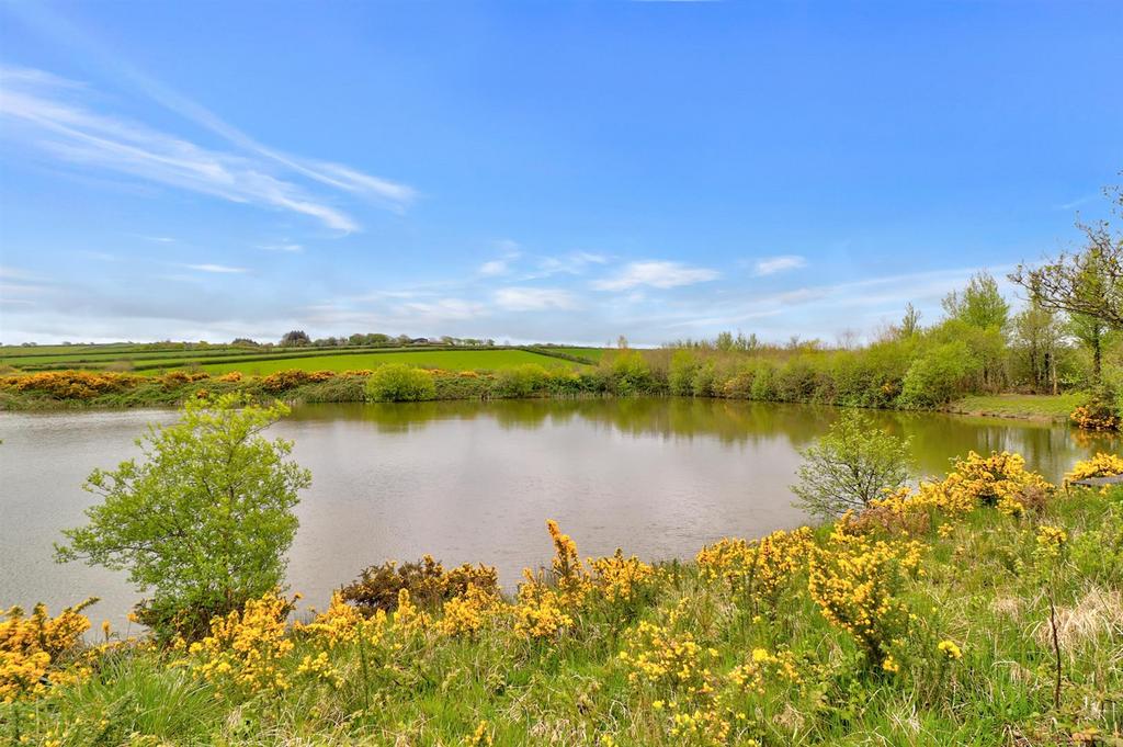 View over lake.jpg