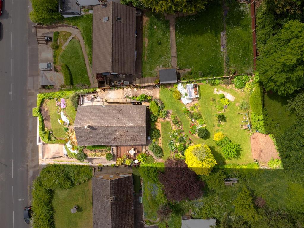 Aerial Top