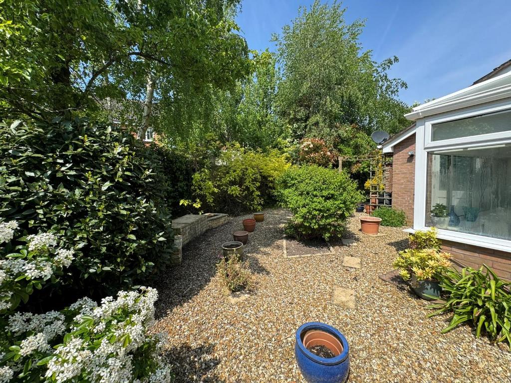 Garden 4.jpg