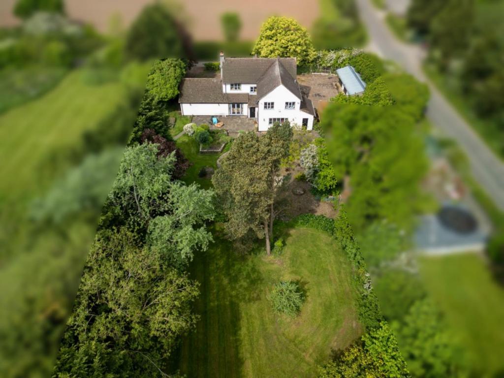 Aerial Rear