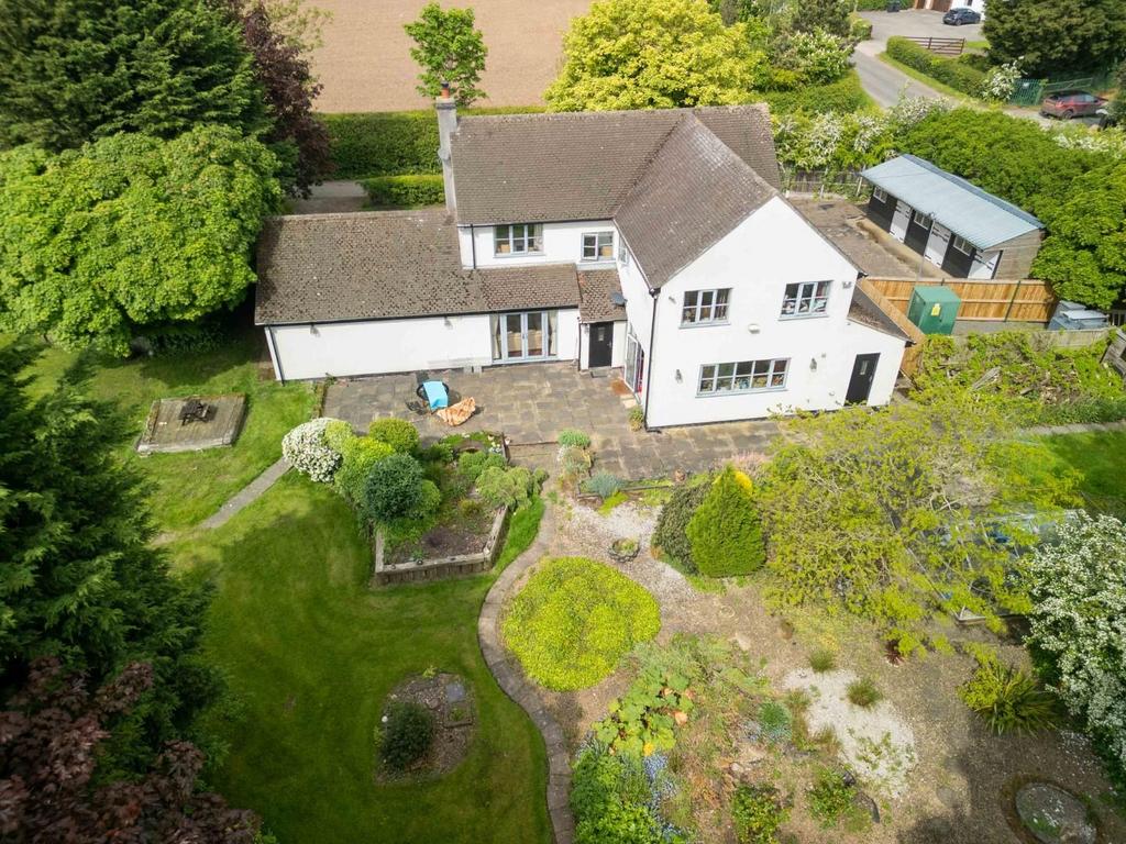 Aerial Rear