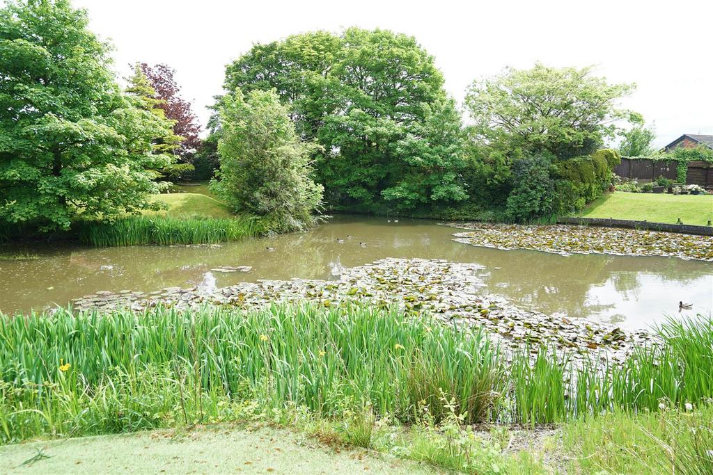 DSC06522a.jpg