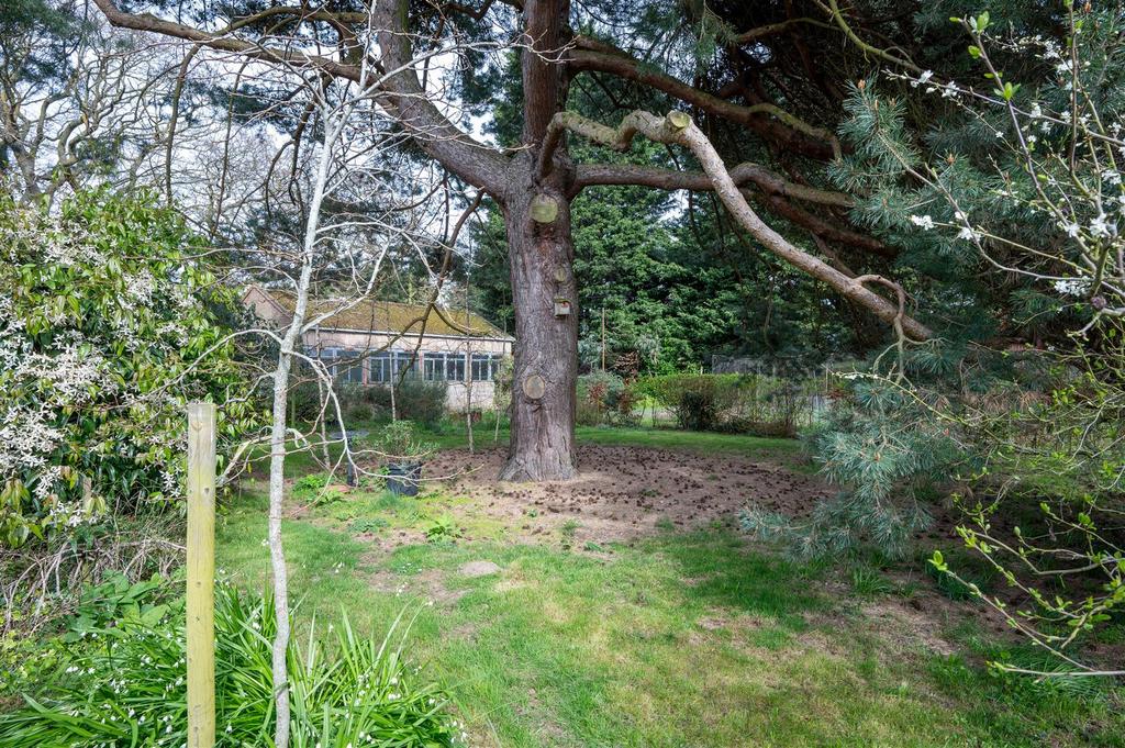 Rear Garden (1).jpg