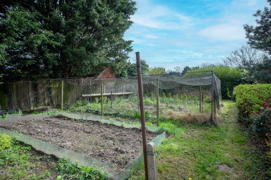 Vegetable Garden.jpg