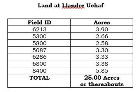 Land for sale, Part of Llandre Uchaf, Mynachlogddu, Clynderwen