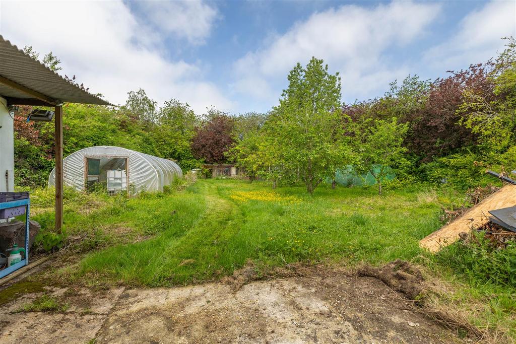 Orchard &amp; polytunnels