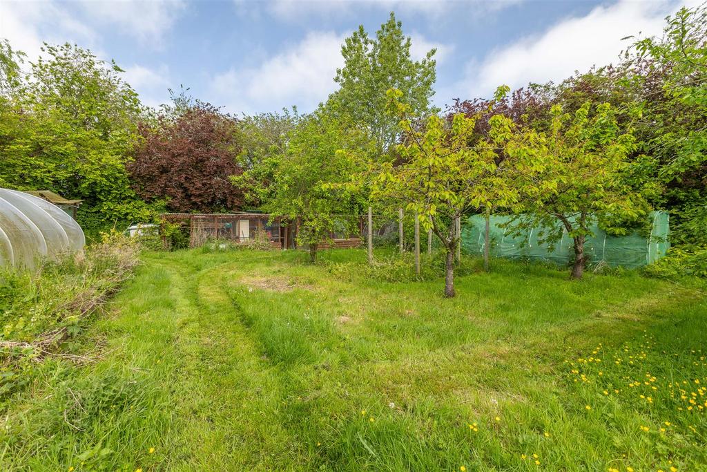Orchard &amp; polytunnels