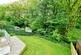 Rear Garden.jpg
