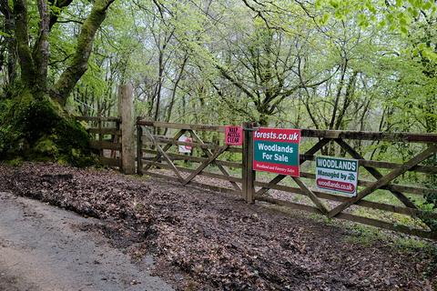 undefined, Saint Keyne, Liskeard PL14