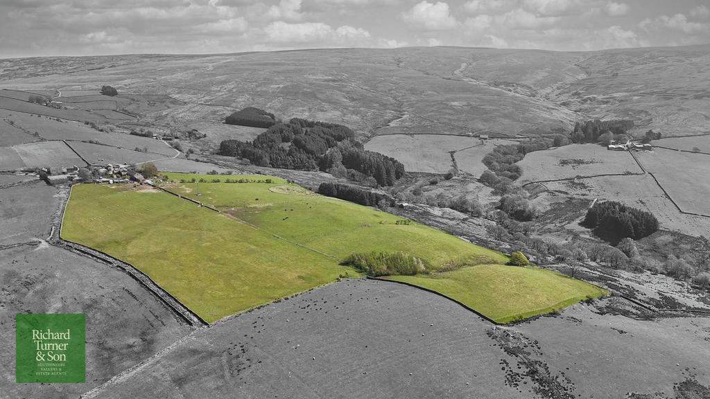 Lower Lythe Land